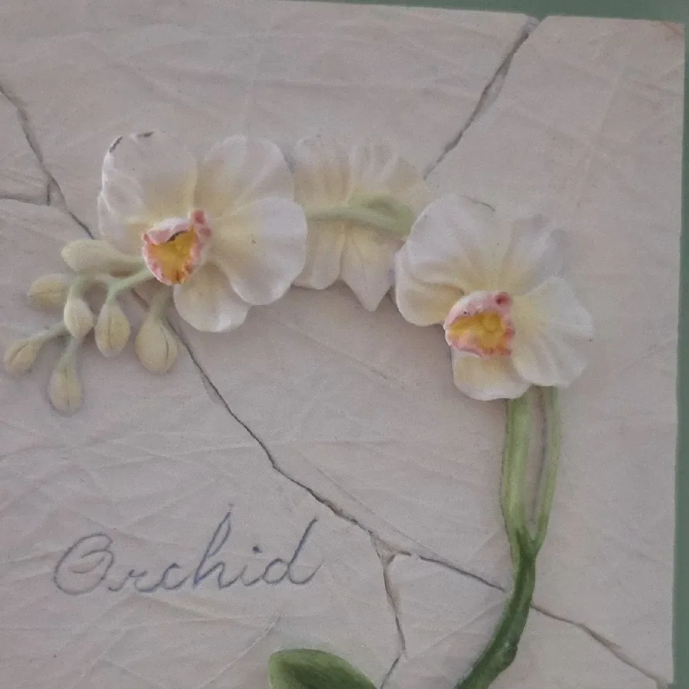 Raj Double Hinged Frame with Orchid Panel